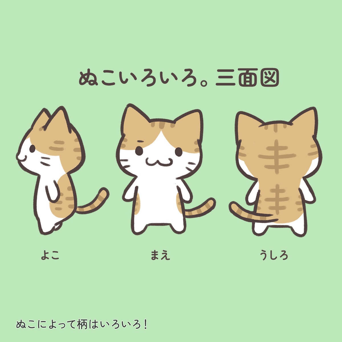 ぬこいろいろ。