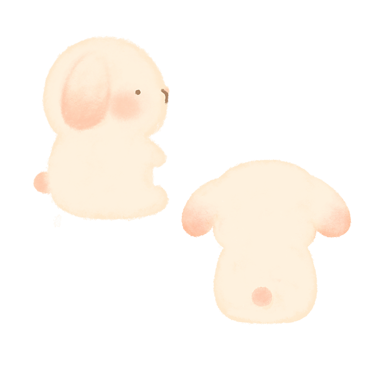 もちもちうさちゃ