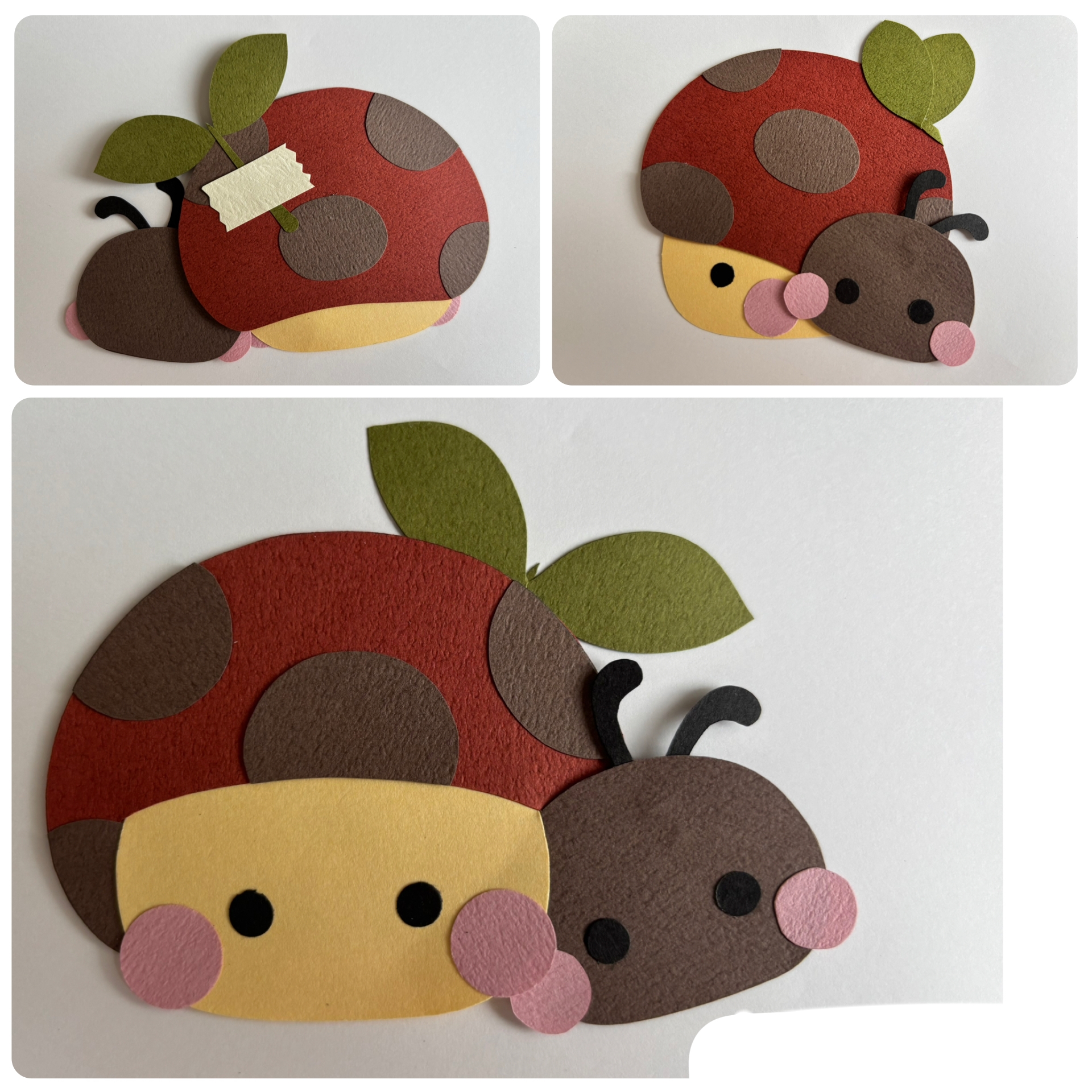 ときどきもどき。