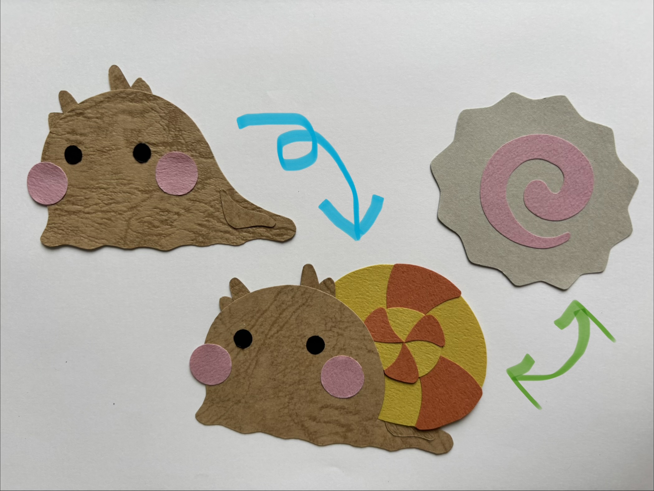 ときどきもどき。