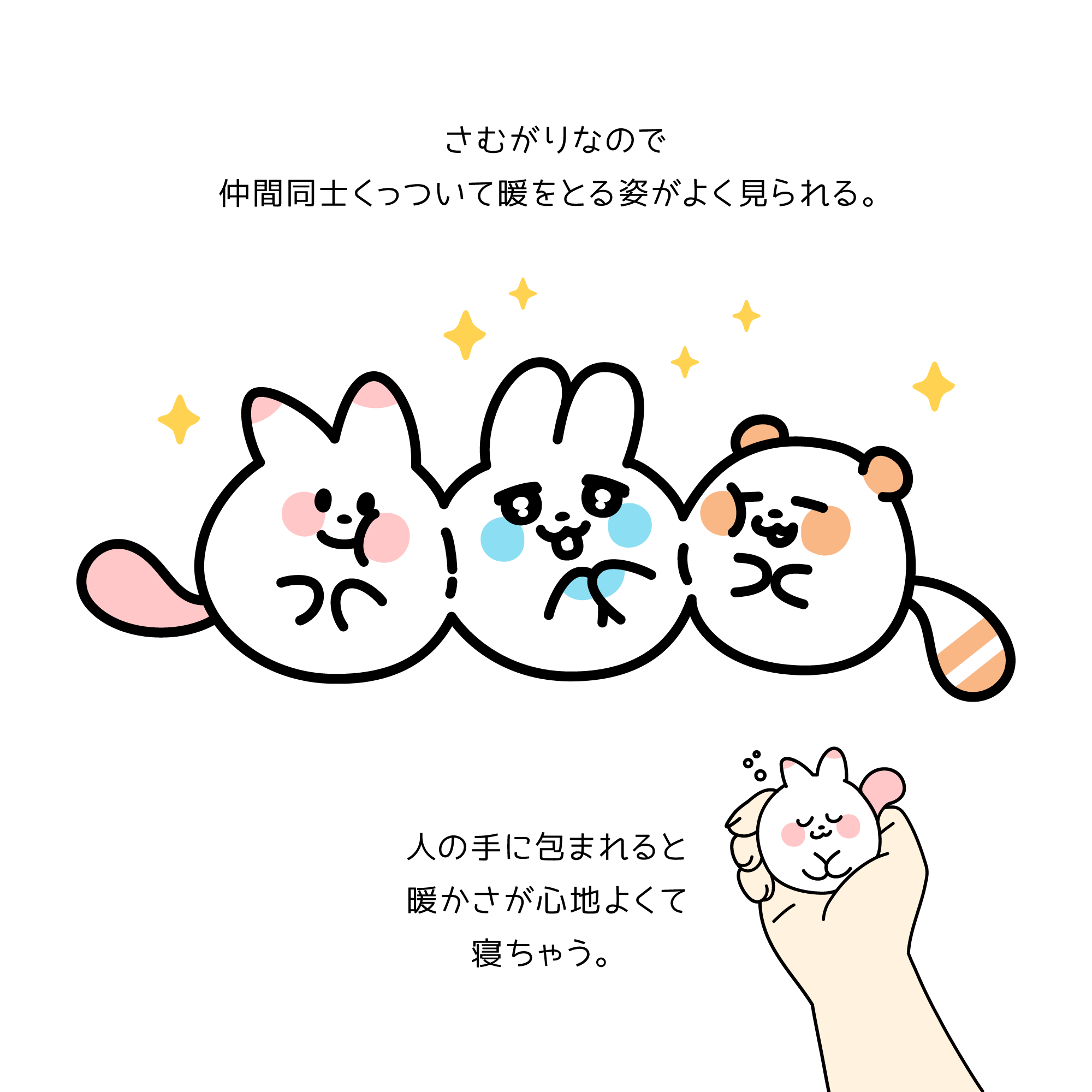 ぬくぬくホッコ