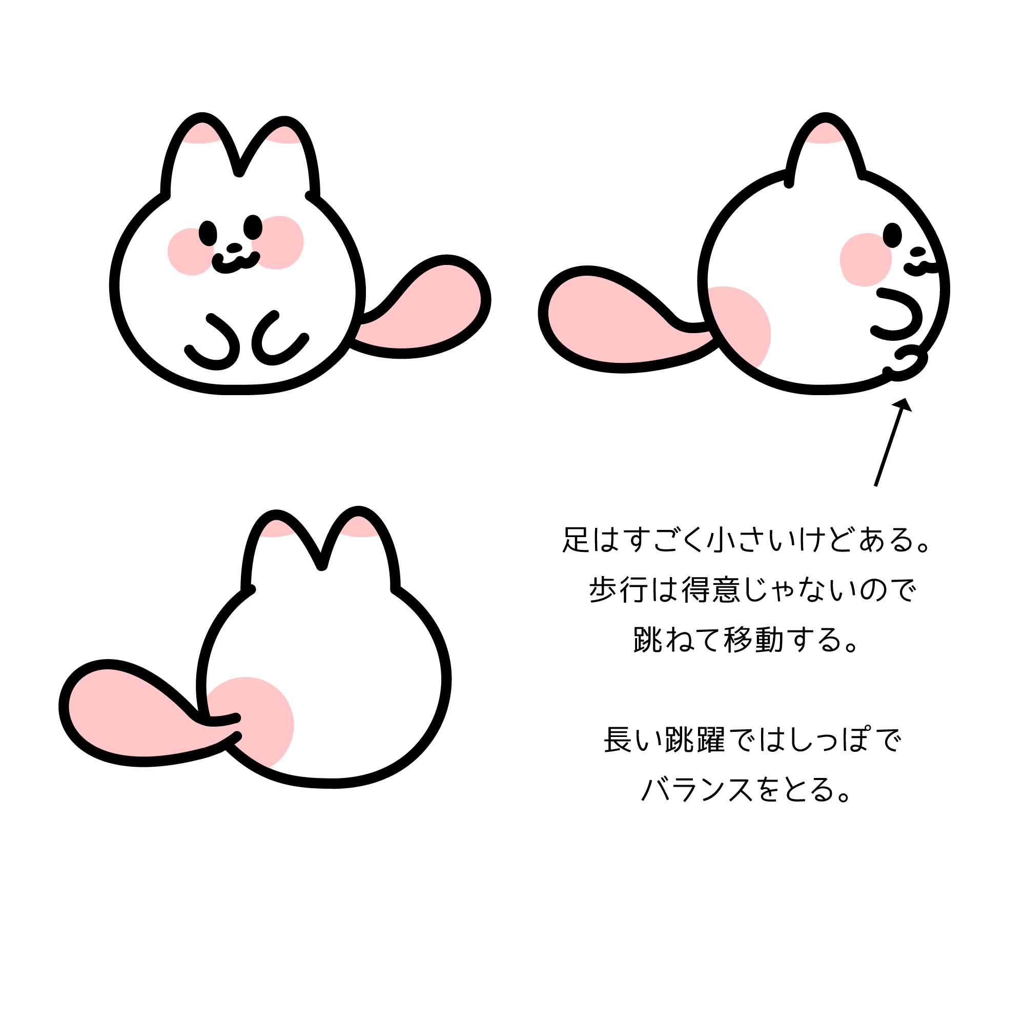 ぬくぬくホッコ