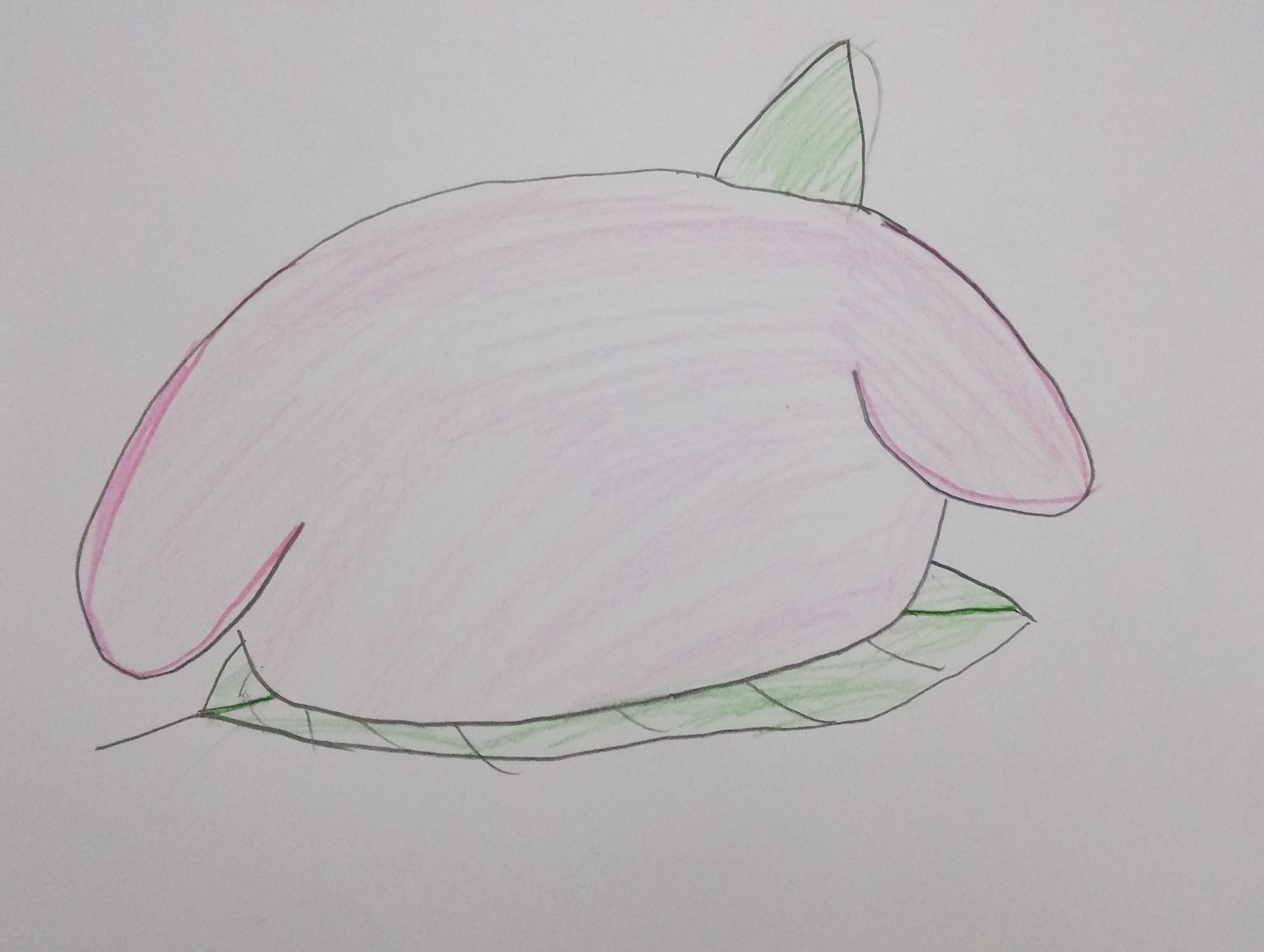 さくらもちくん