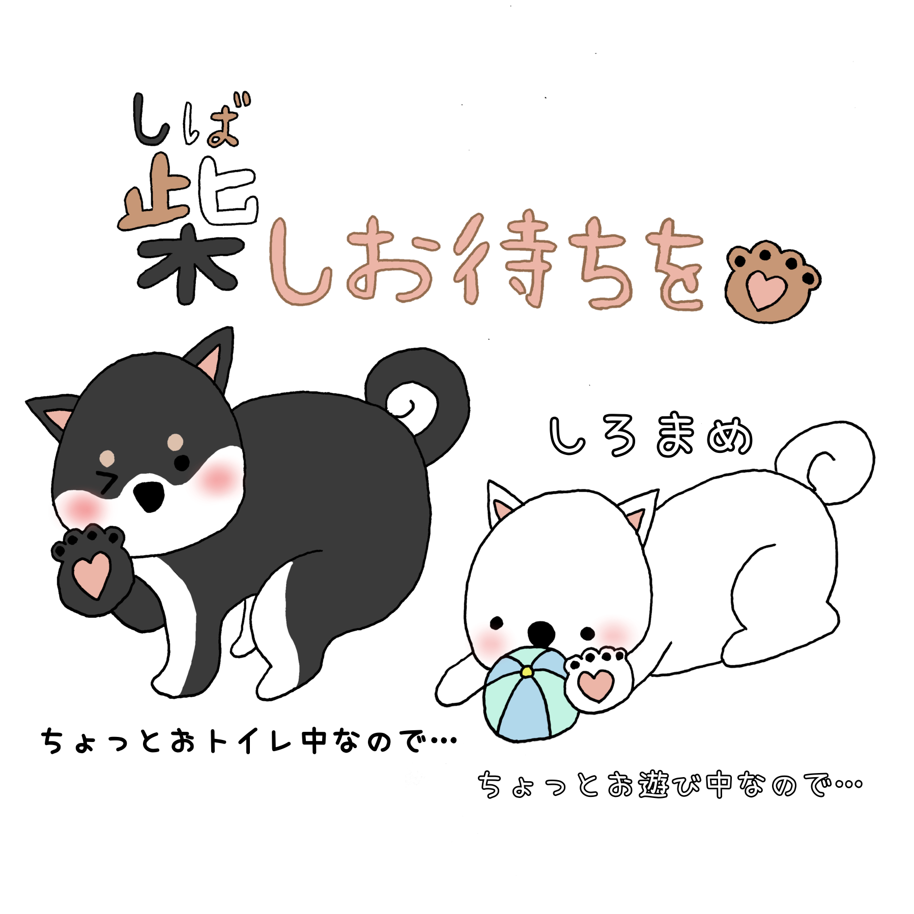 柴しお待ちを豆柴トリオ