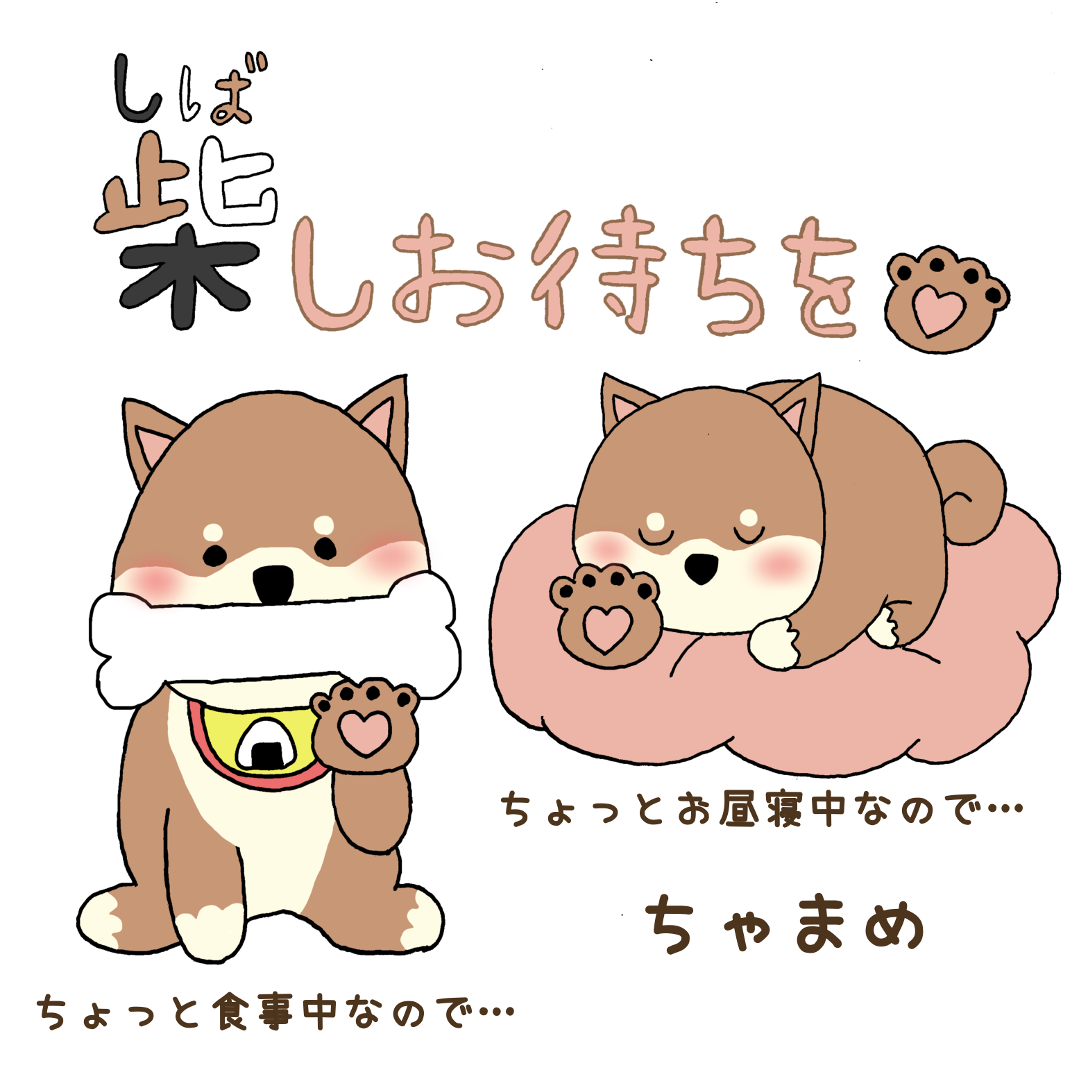 柴しお待ちを豆柴トリオ