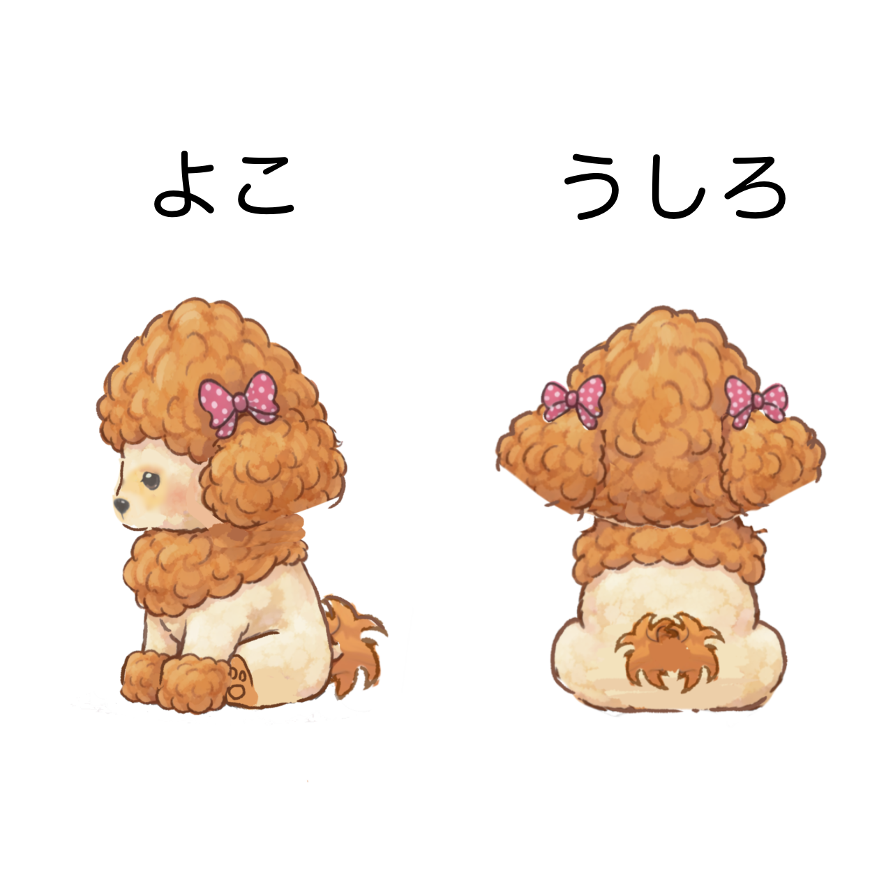 トリミング失敗だワン