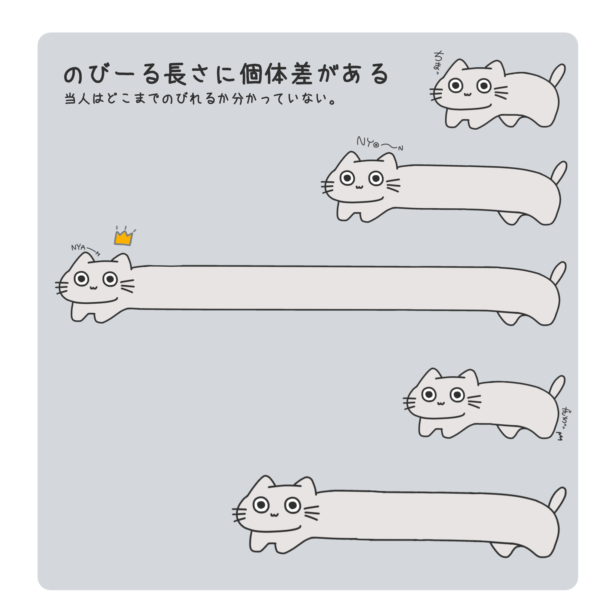 てこねこ