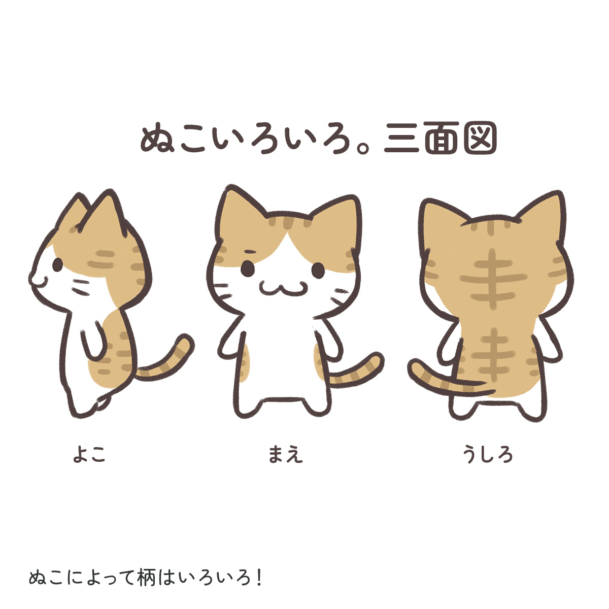 ぬこいろいろ。