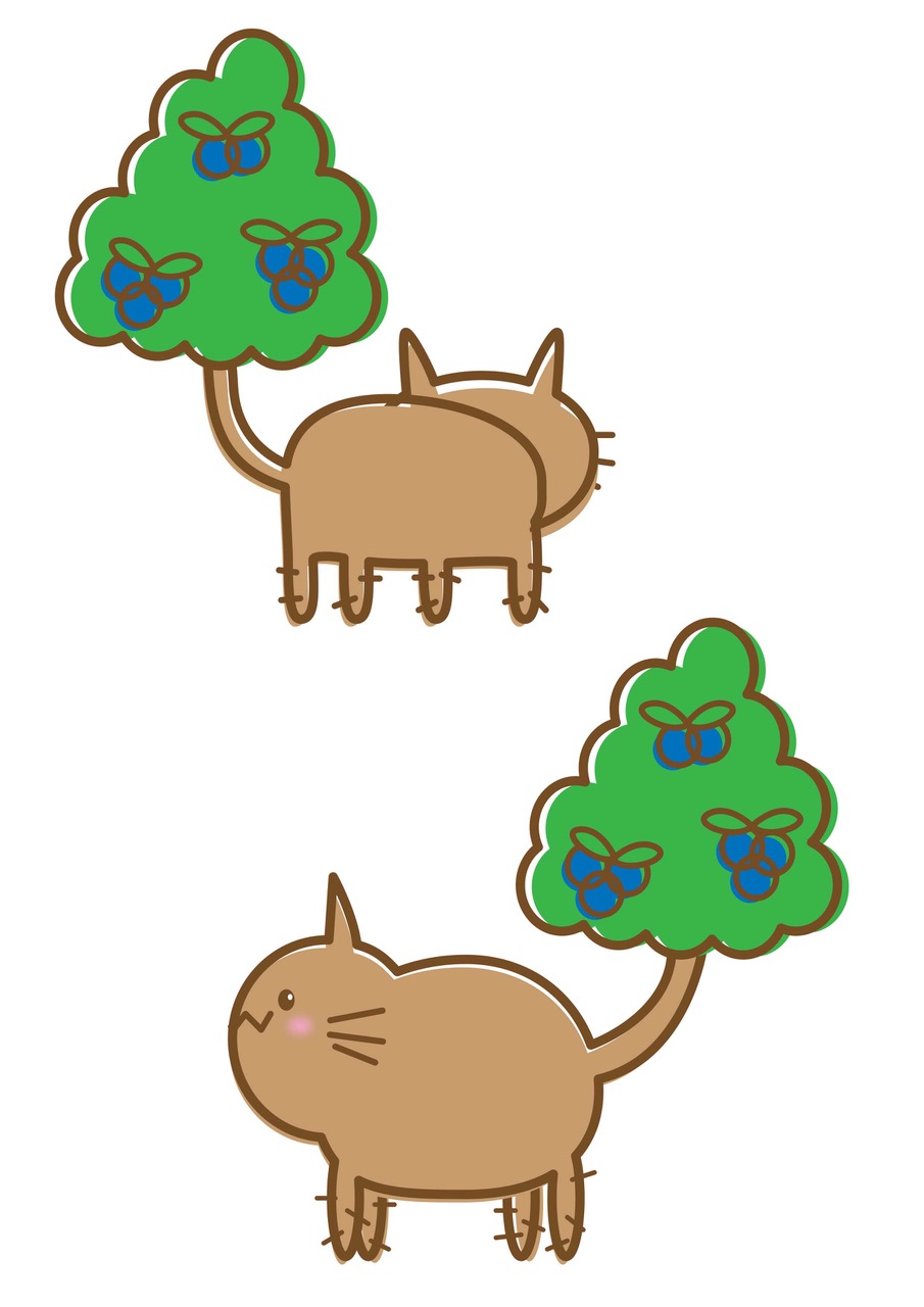 キノネッコ