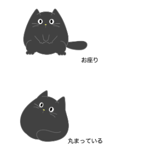 ちびにゃんこ「くろちゃん♡」