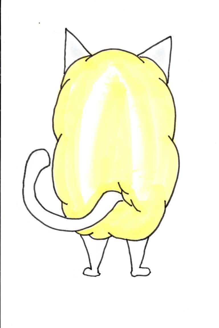 ひつじ猫