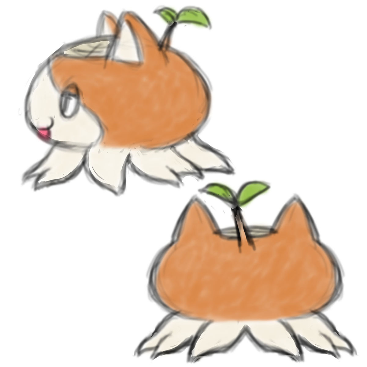 ねっこ