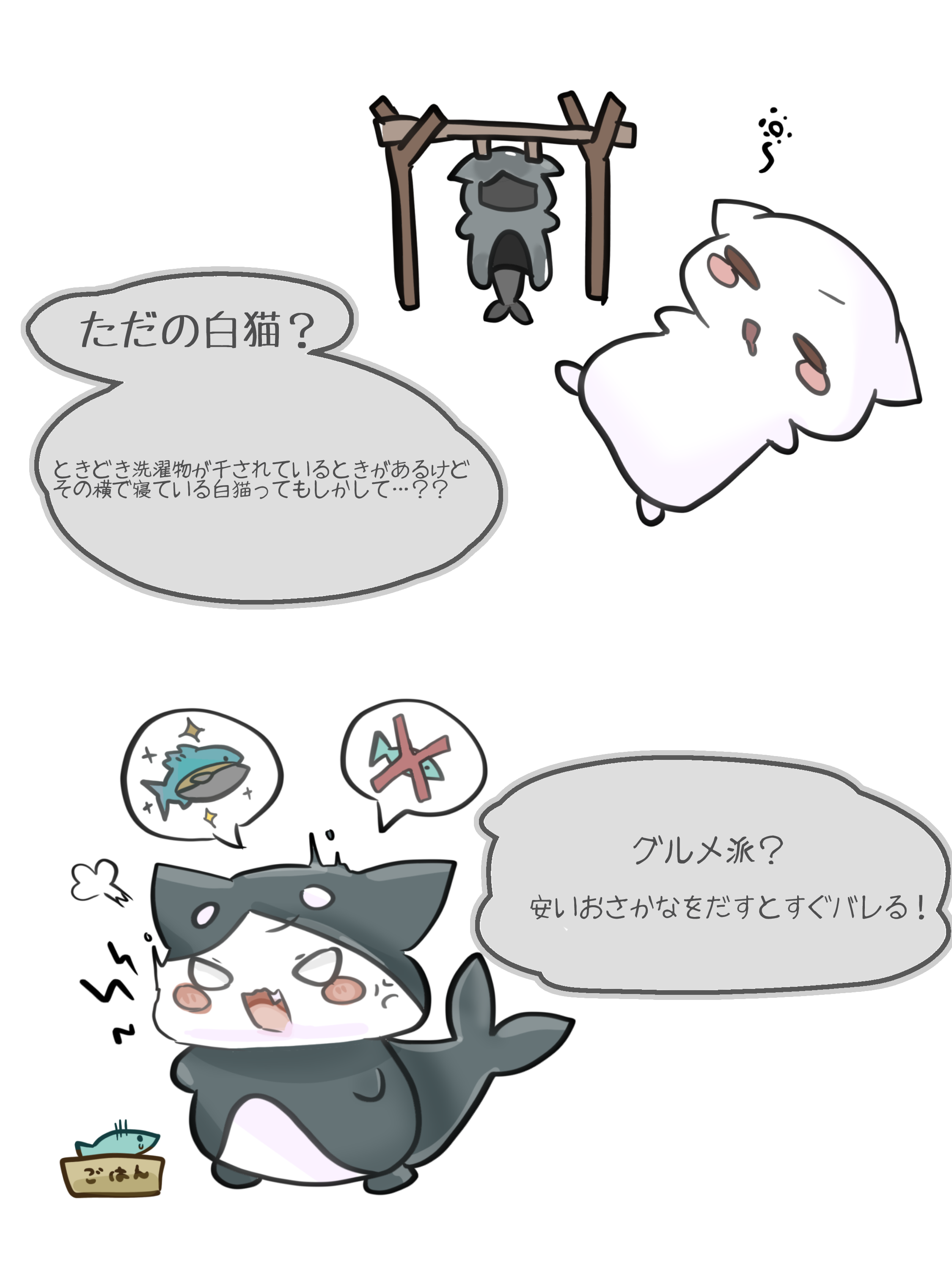 しゃちねこ