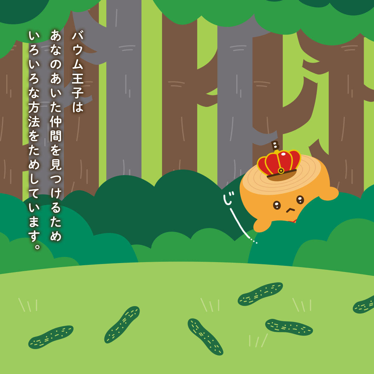 バウム王子