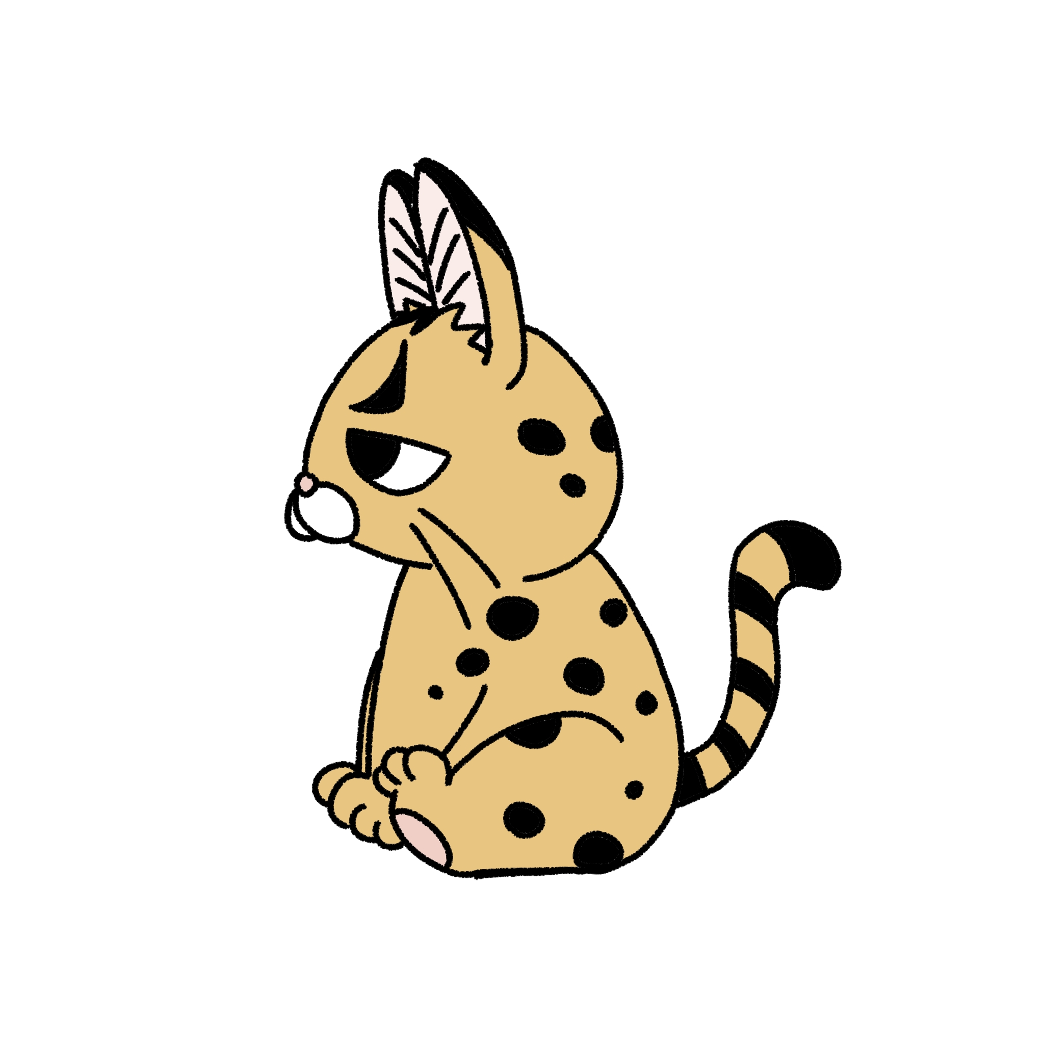 むちむちさーばるきゃっと