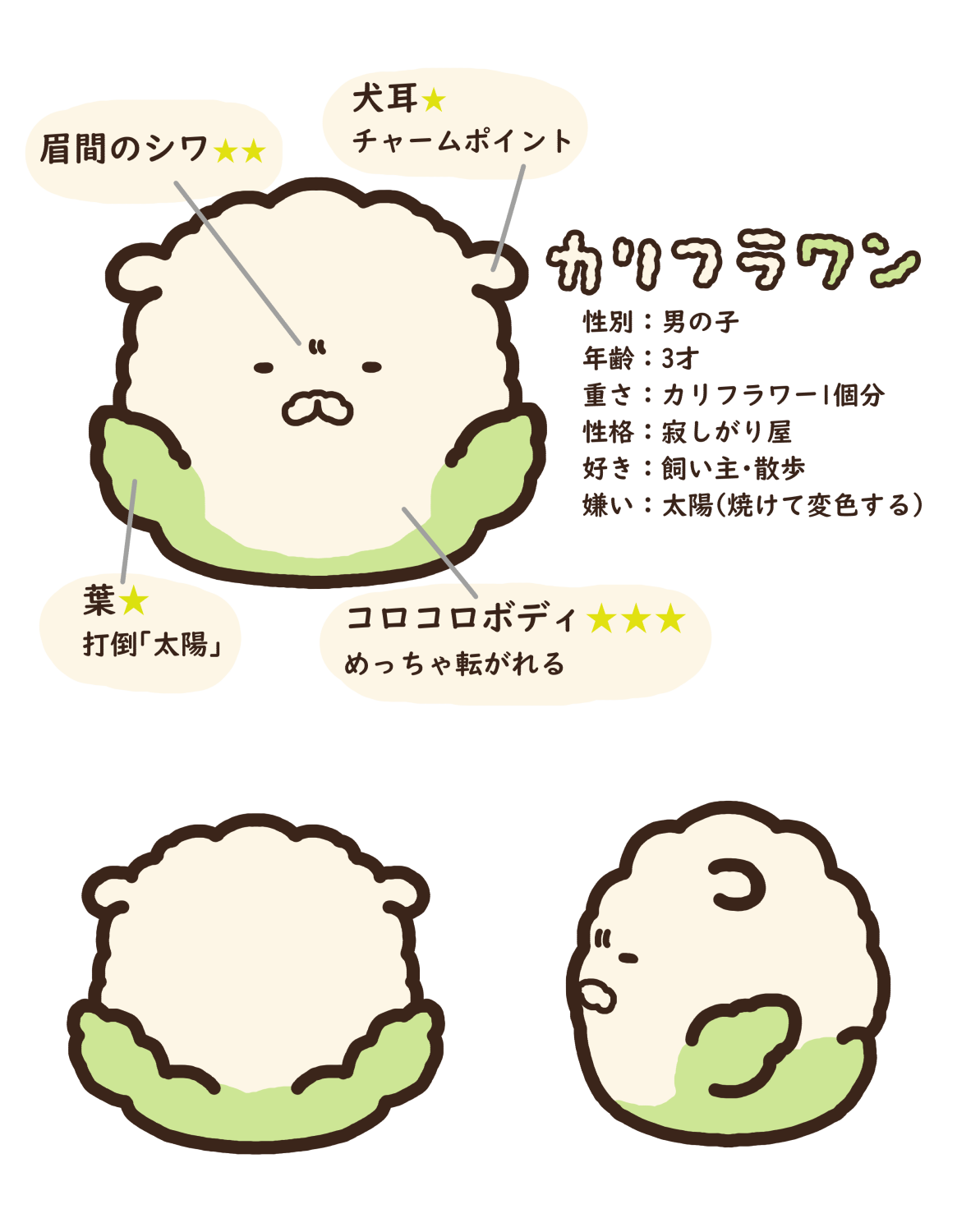 カリフラワン