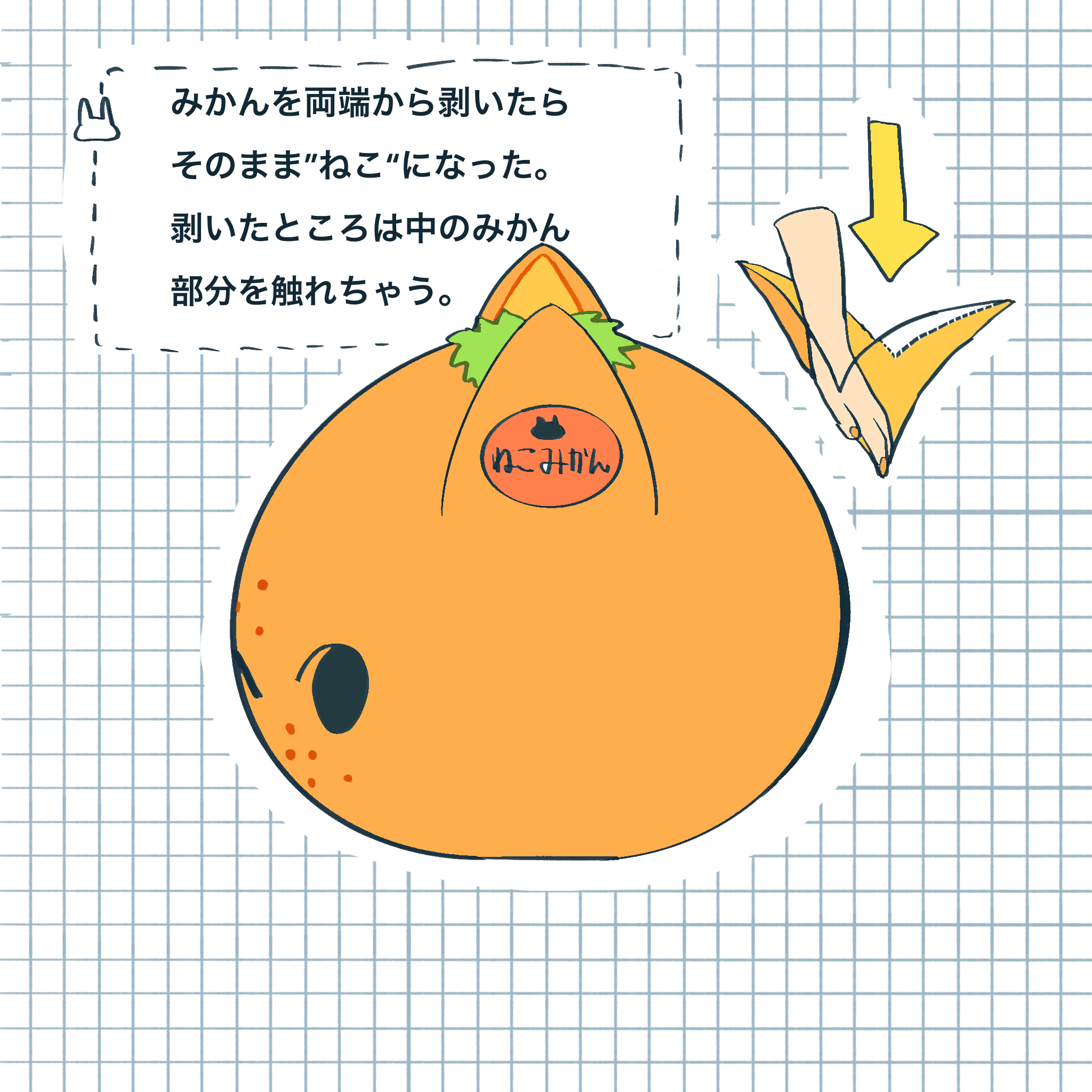 ねこみかん