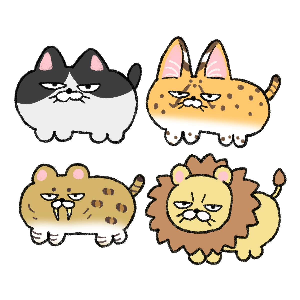 目つきのわるいネコたち