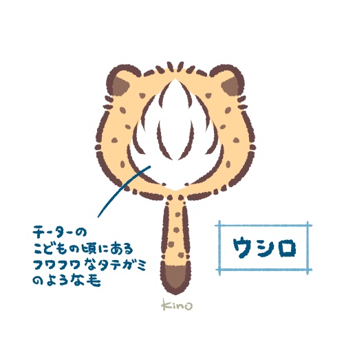 ちーたん