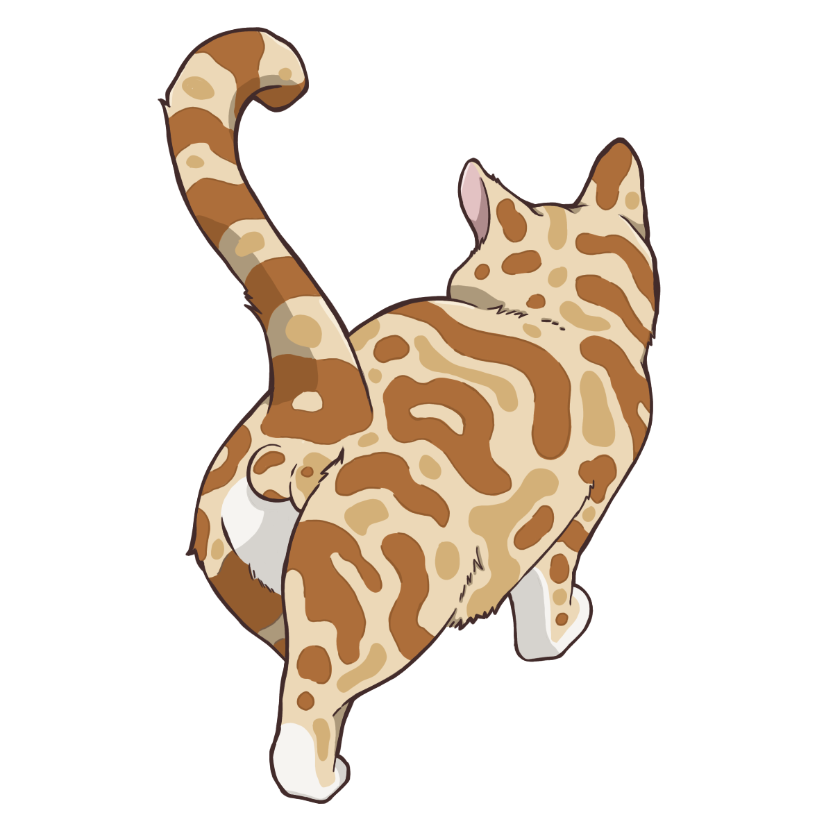 うねうね模様の野良猫