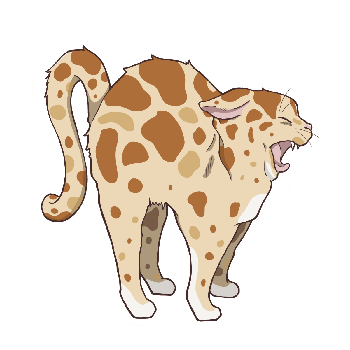 うねうね模様の野良猫