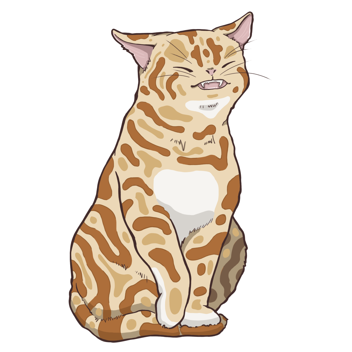 うねうね模様の野良猫