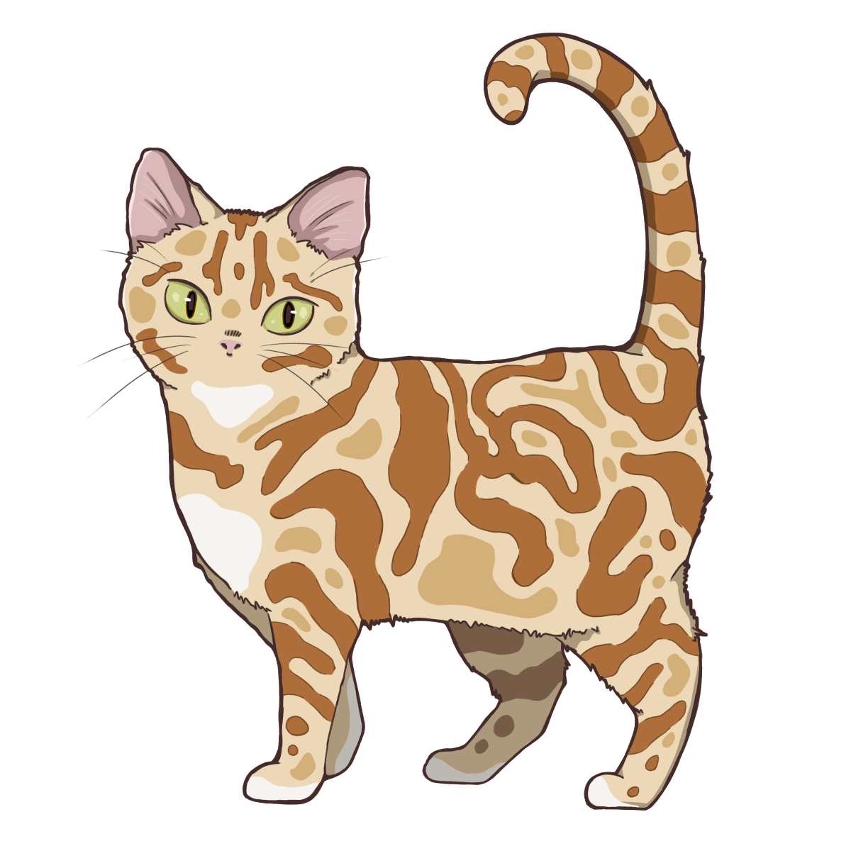キャラ名