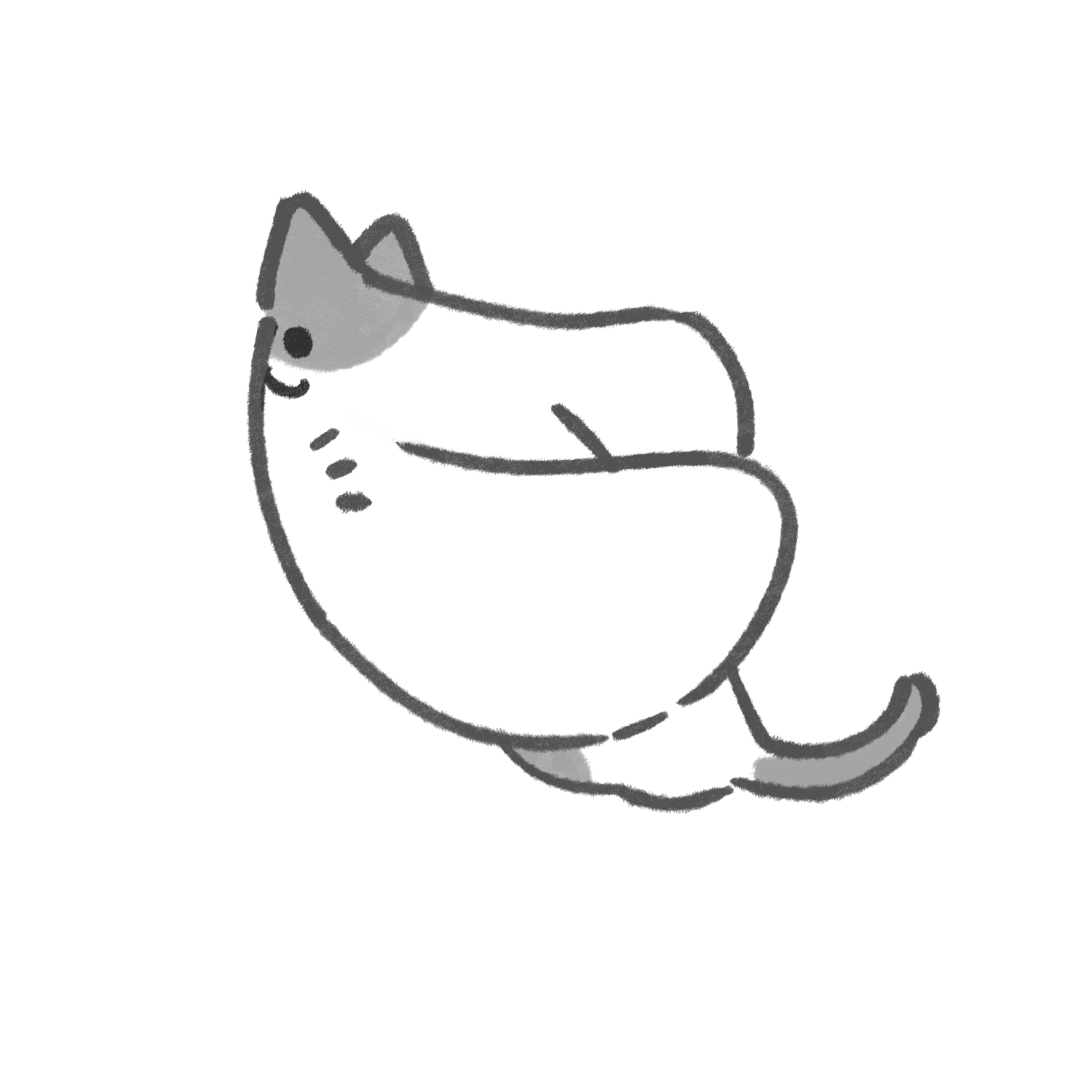 エイネコ