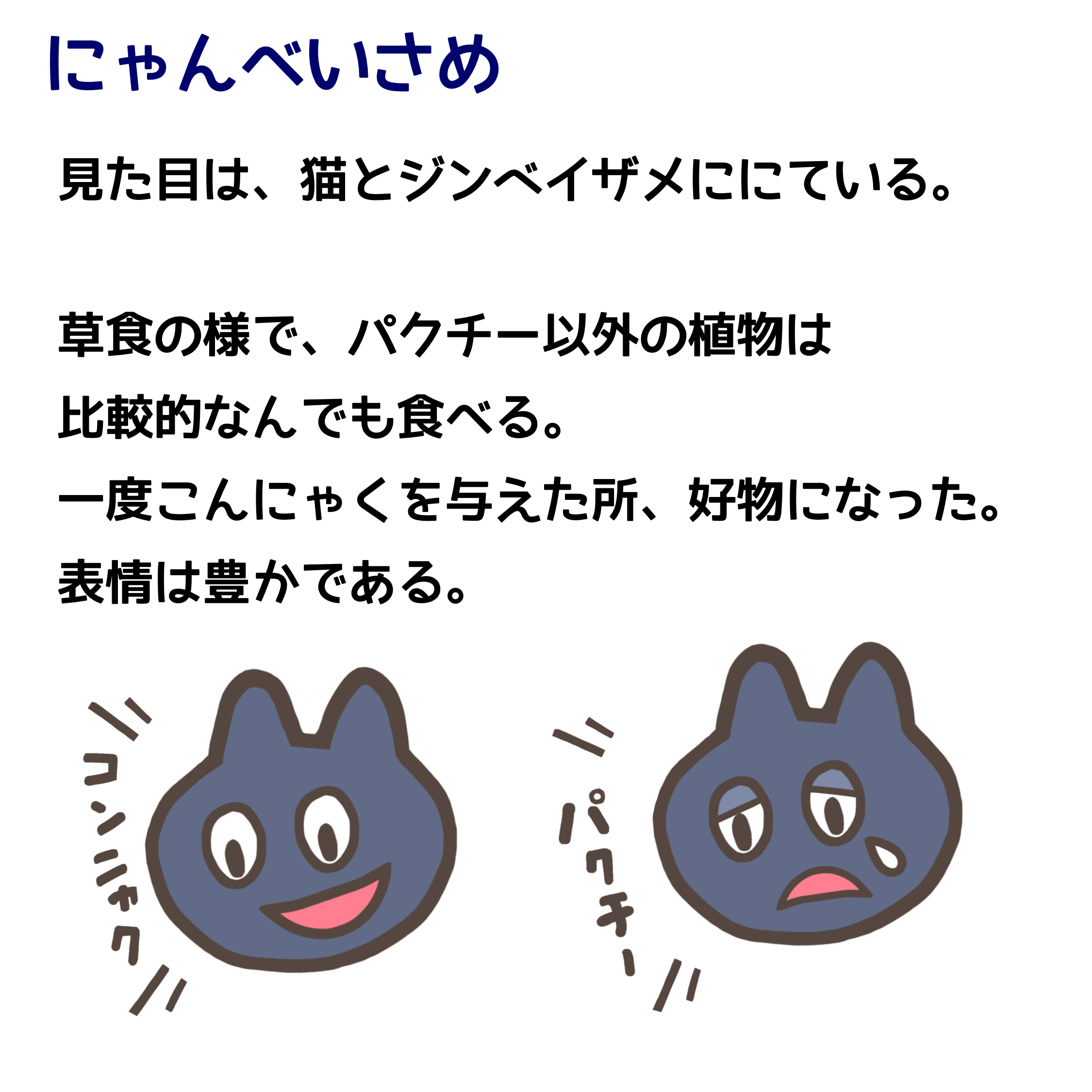 にゃんべいさめ