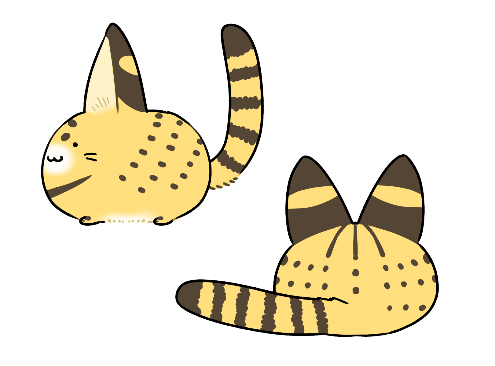 さーまるまるきゃっと