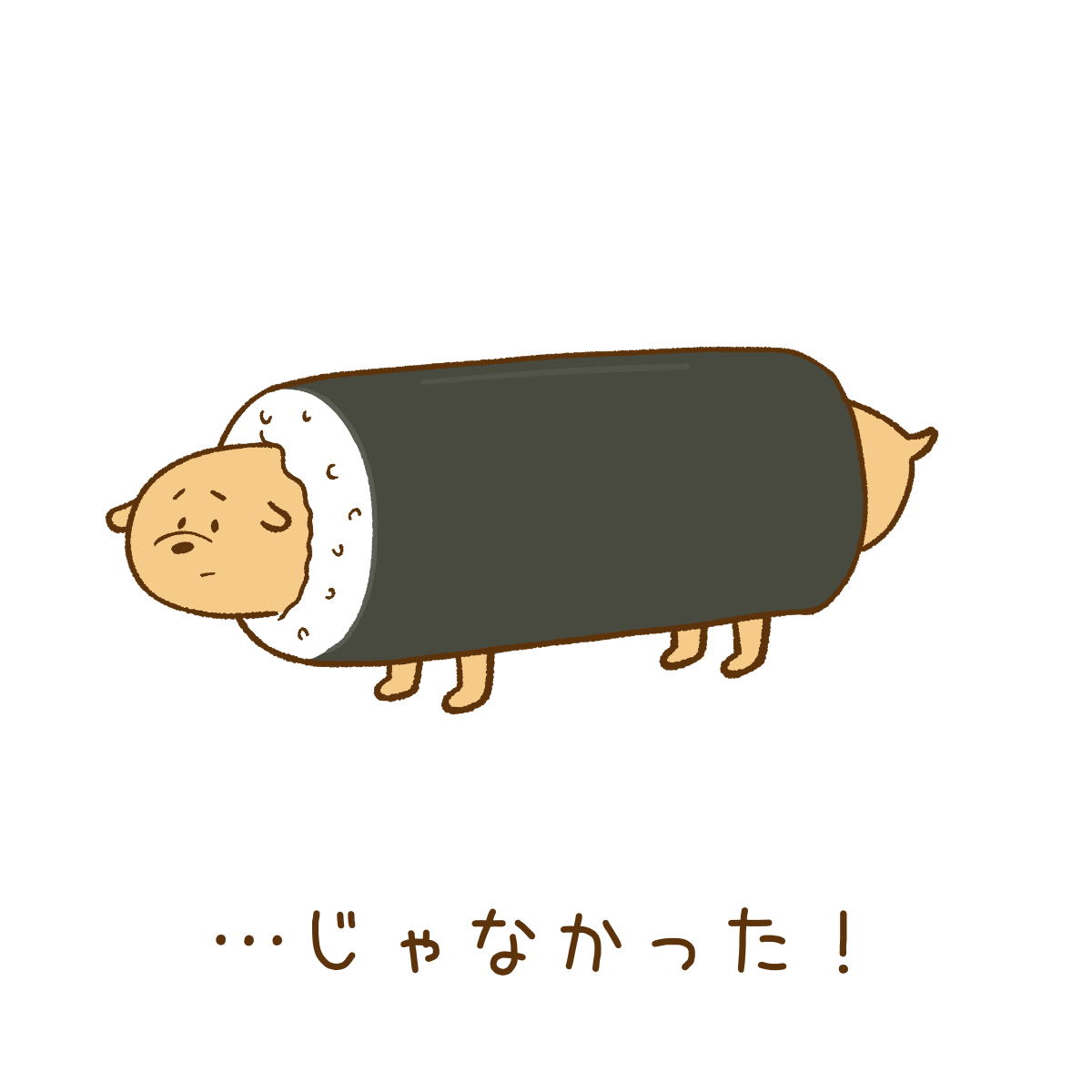 今日も巻かれる犬