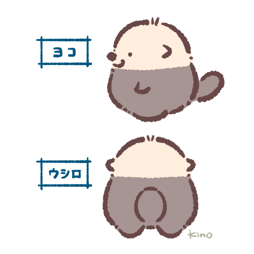 らっこい