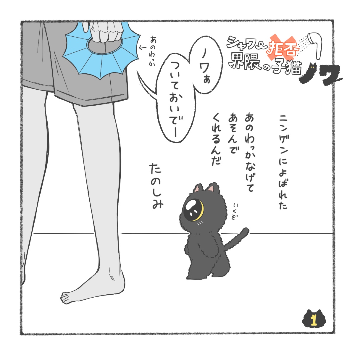 シャワー拒否界隈の子猫  ノワ