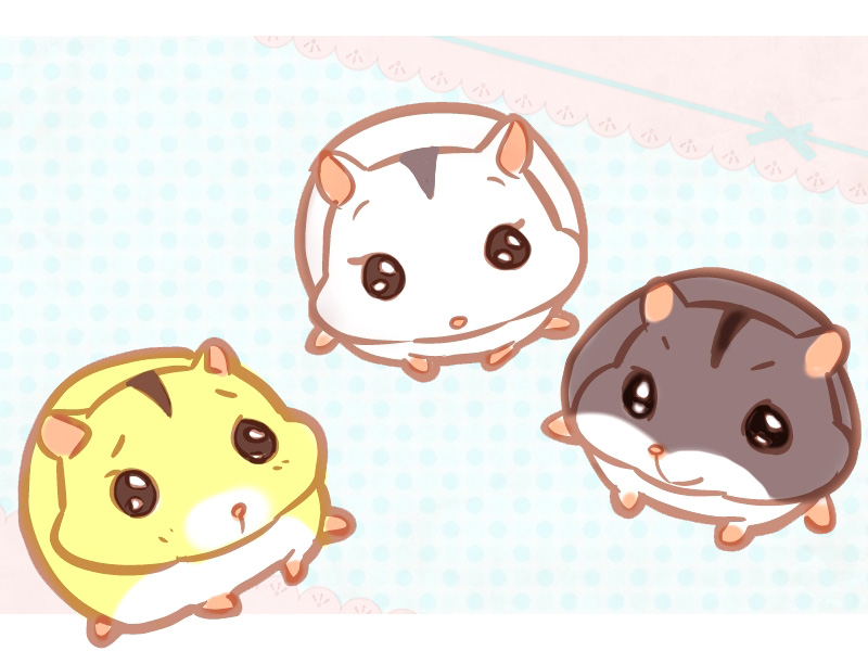 キャラ名