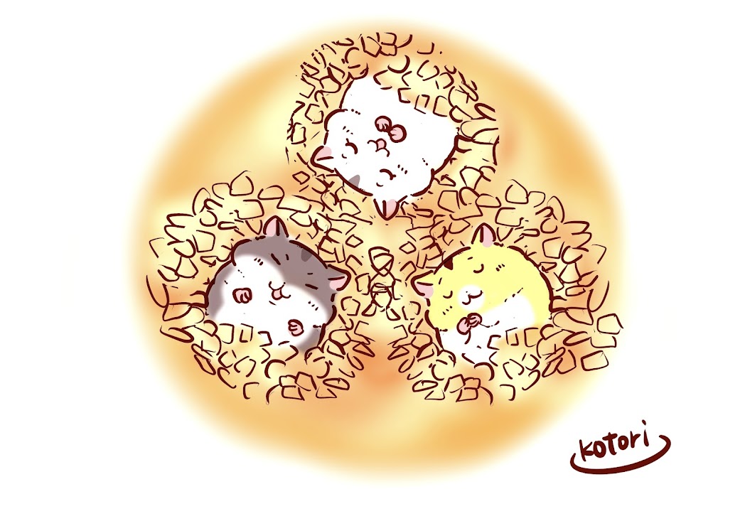 ジャンハム３兄妹