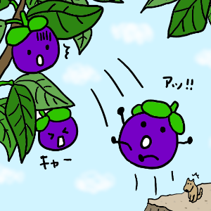 Thai Fruits FRIENDS