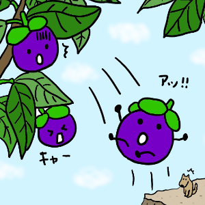 Thai Fruits FRIENDS