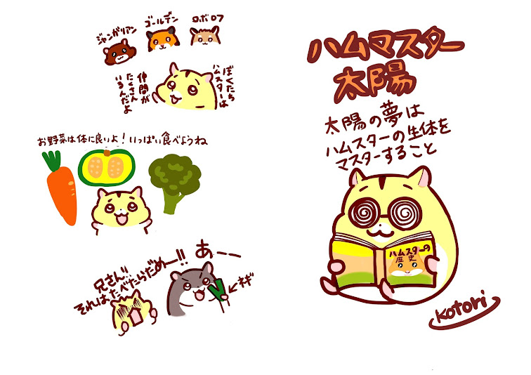 たいよう