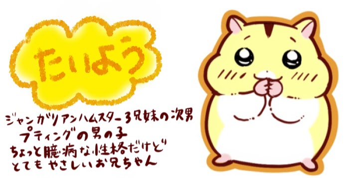 たいよう