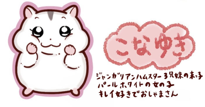 こなゆき