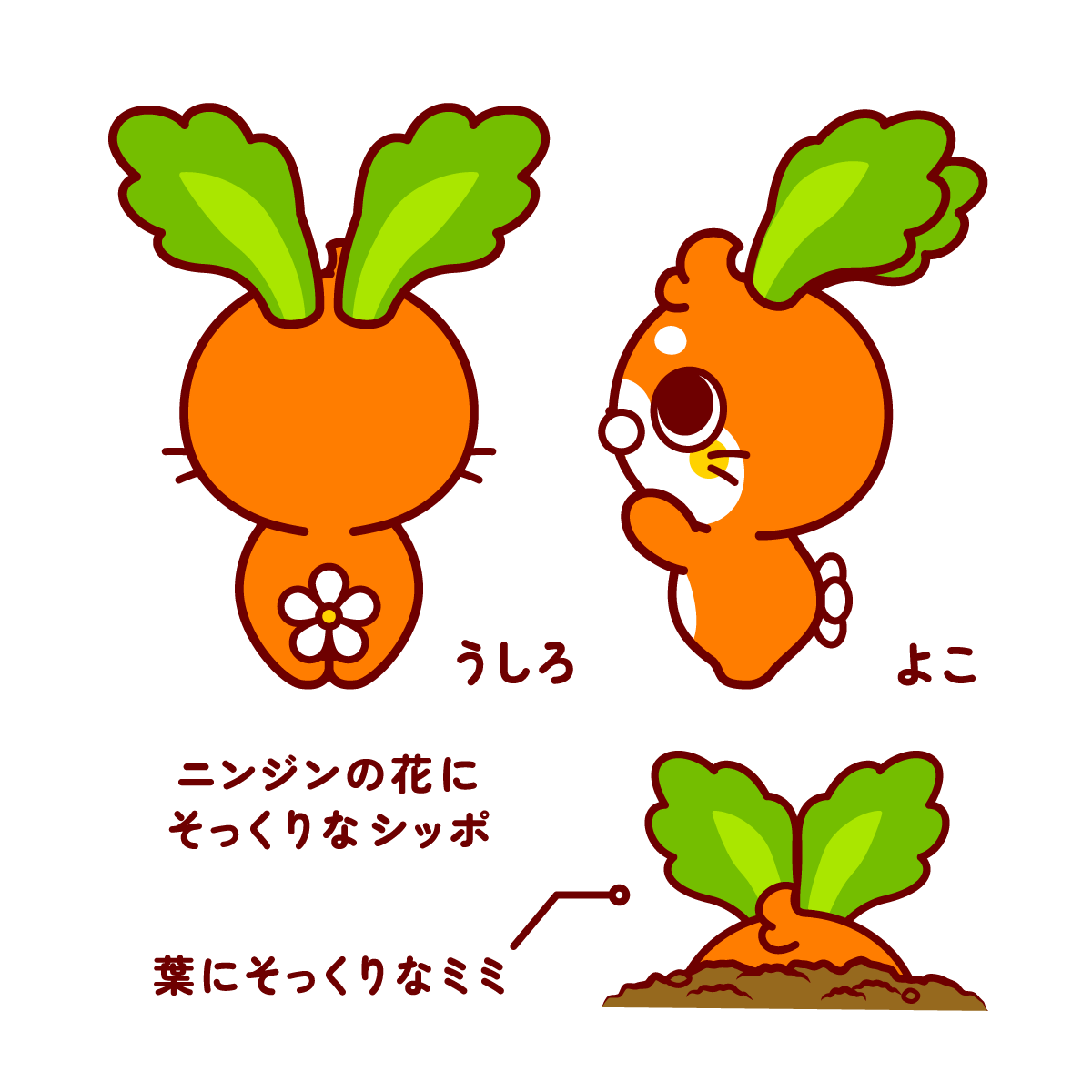 キャロット