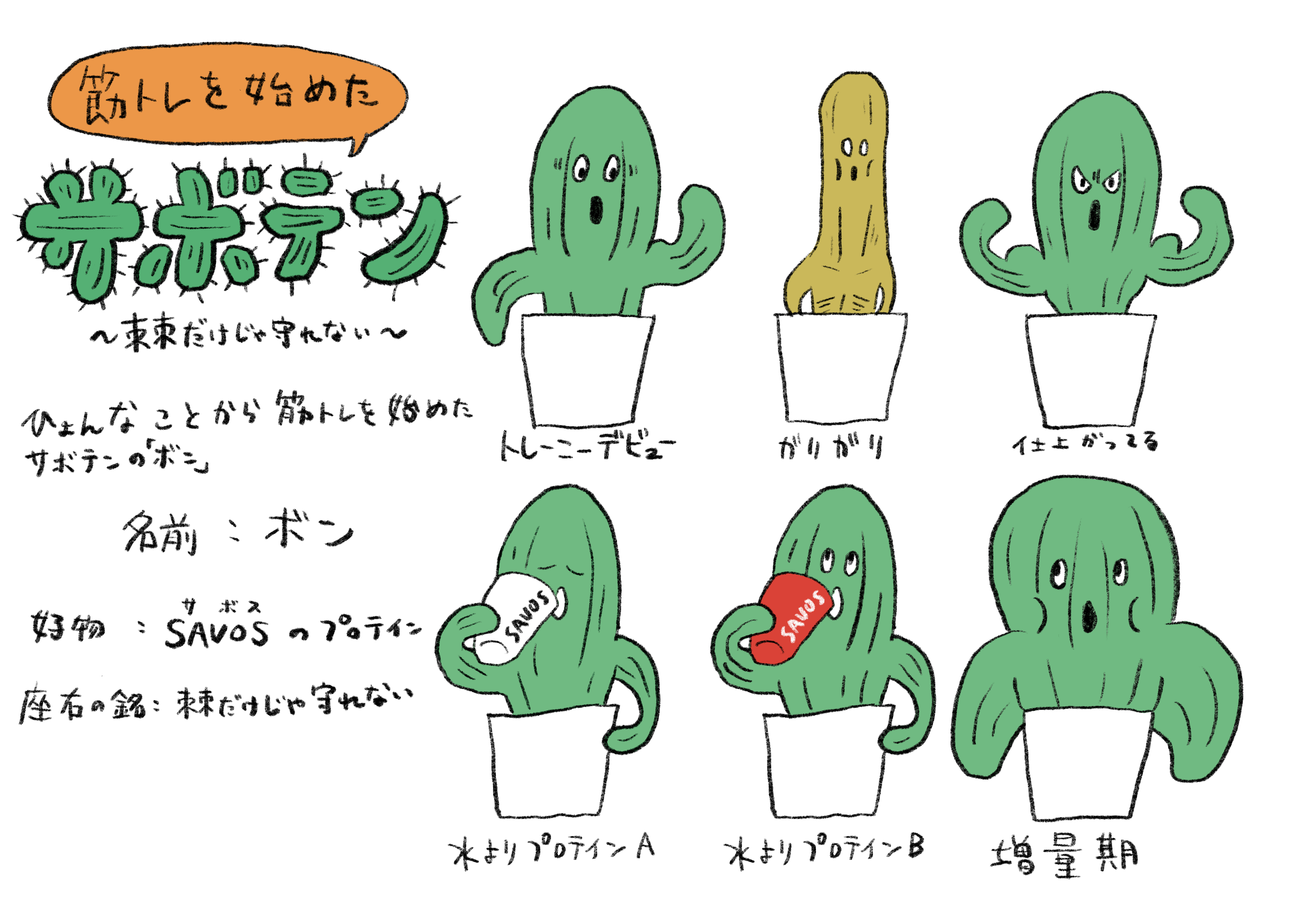サボテンのボン