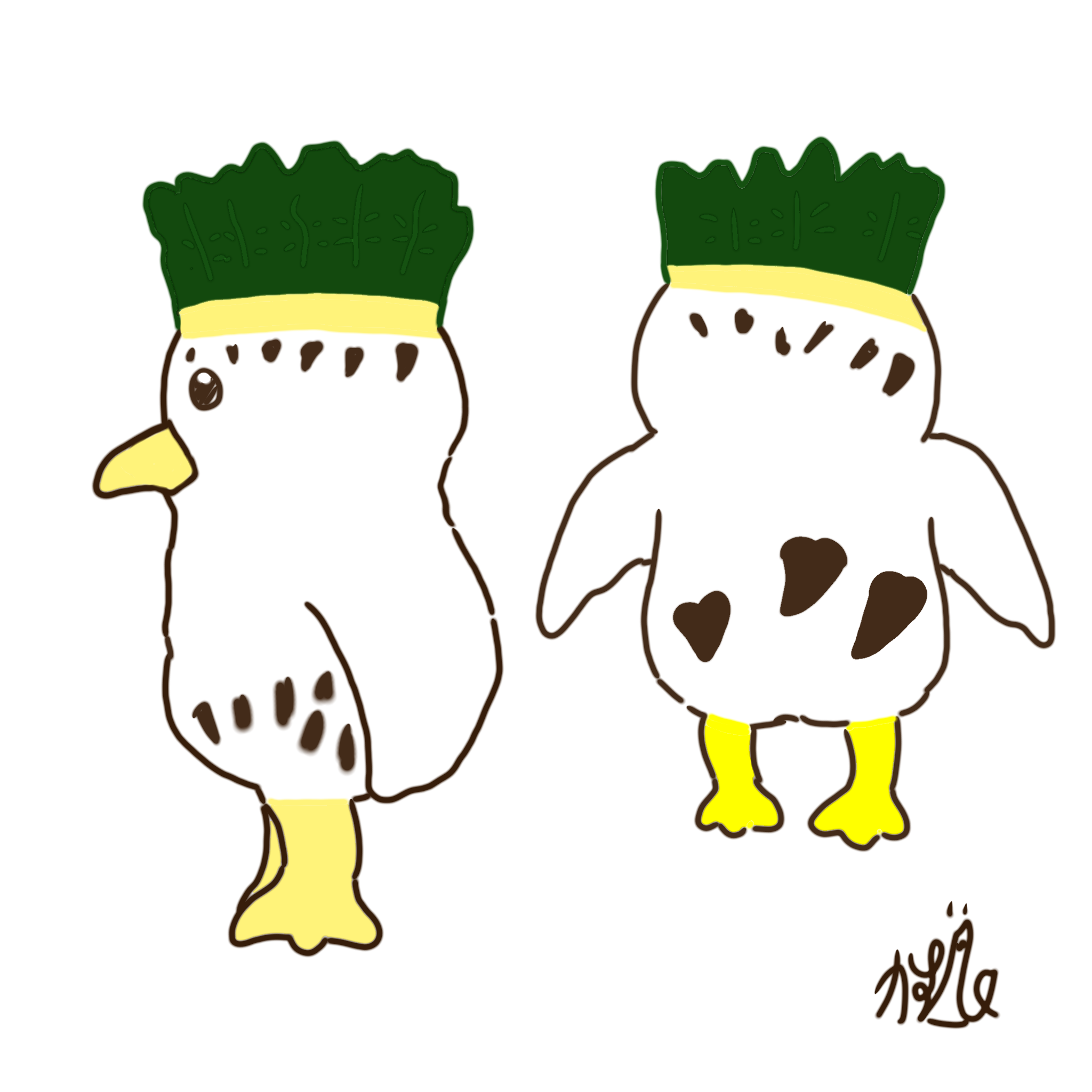 カブメ