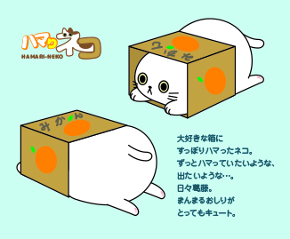 ハマりネコ