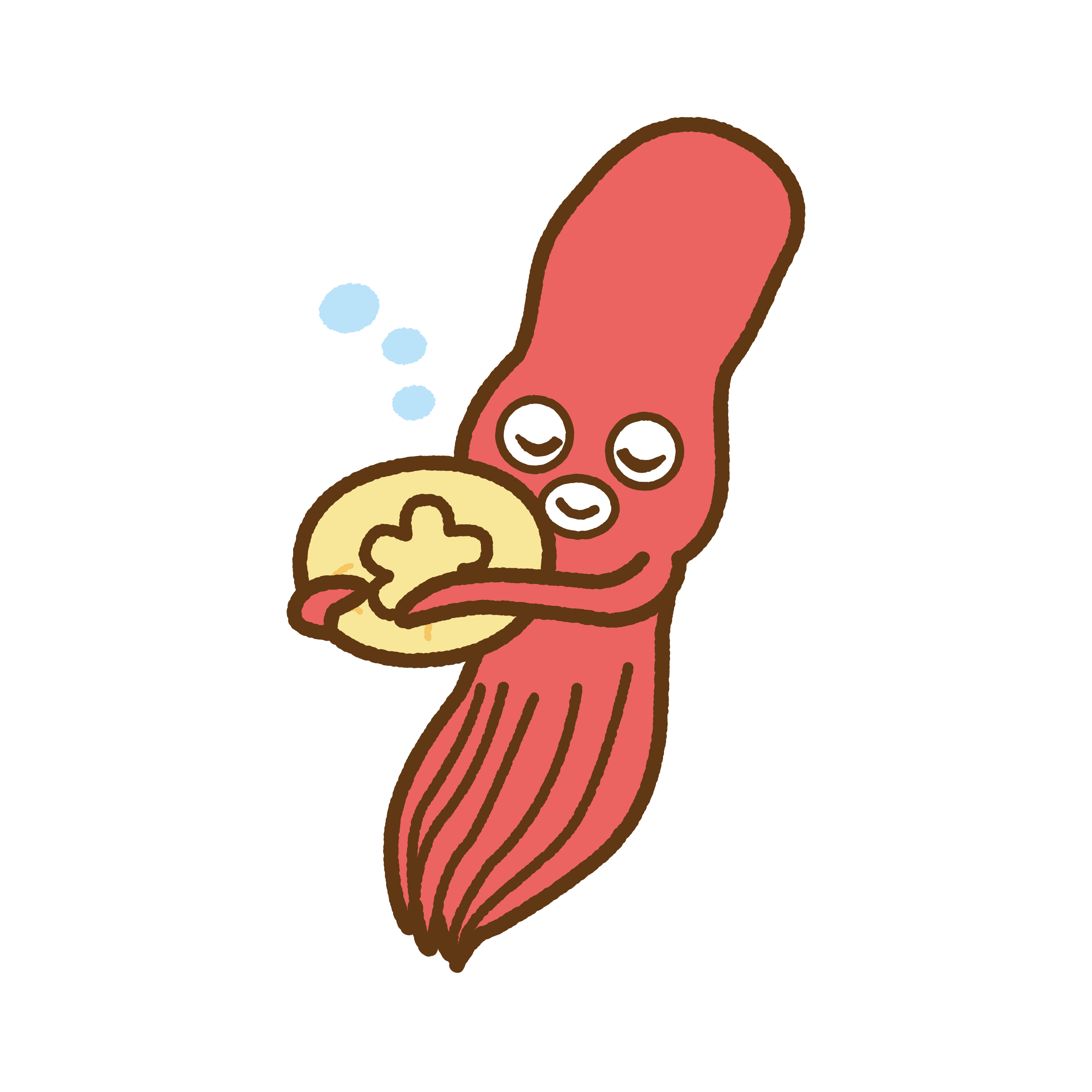 タコノマクラ