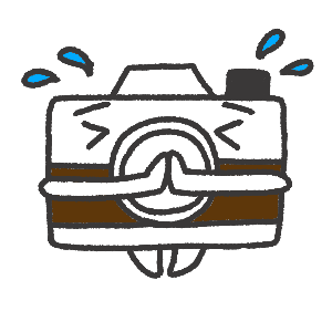 カメラのカメラん