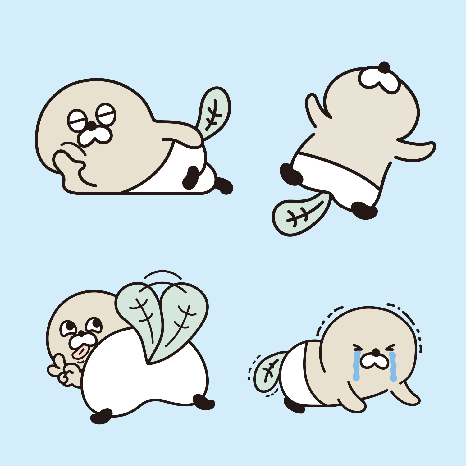 かわたぬ