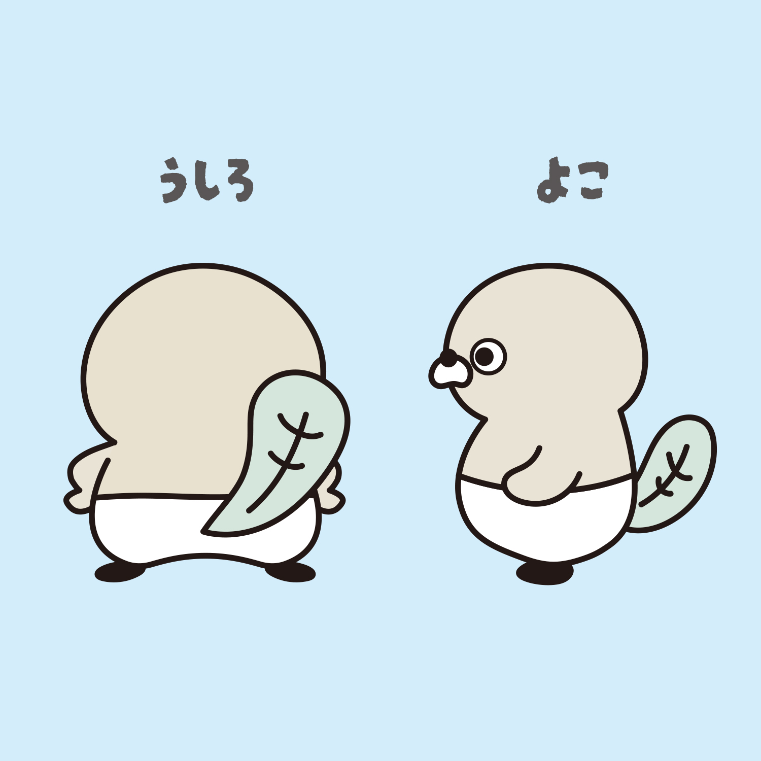 かわたぬ