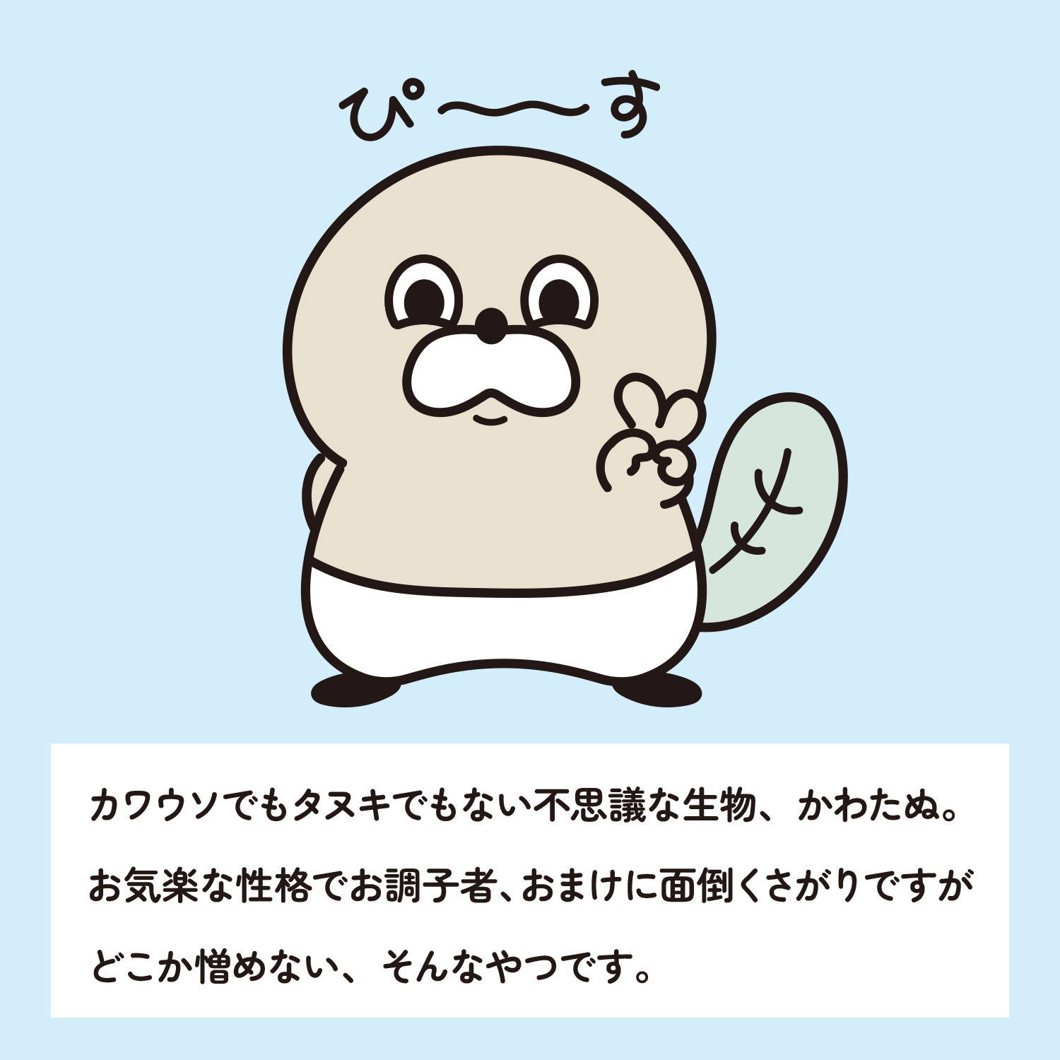 かわたぬ