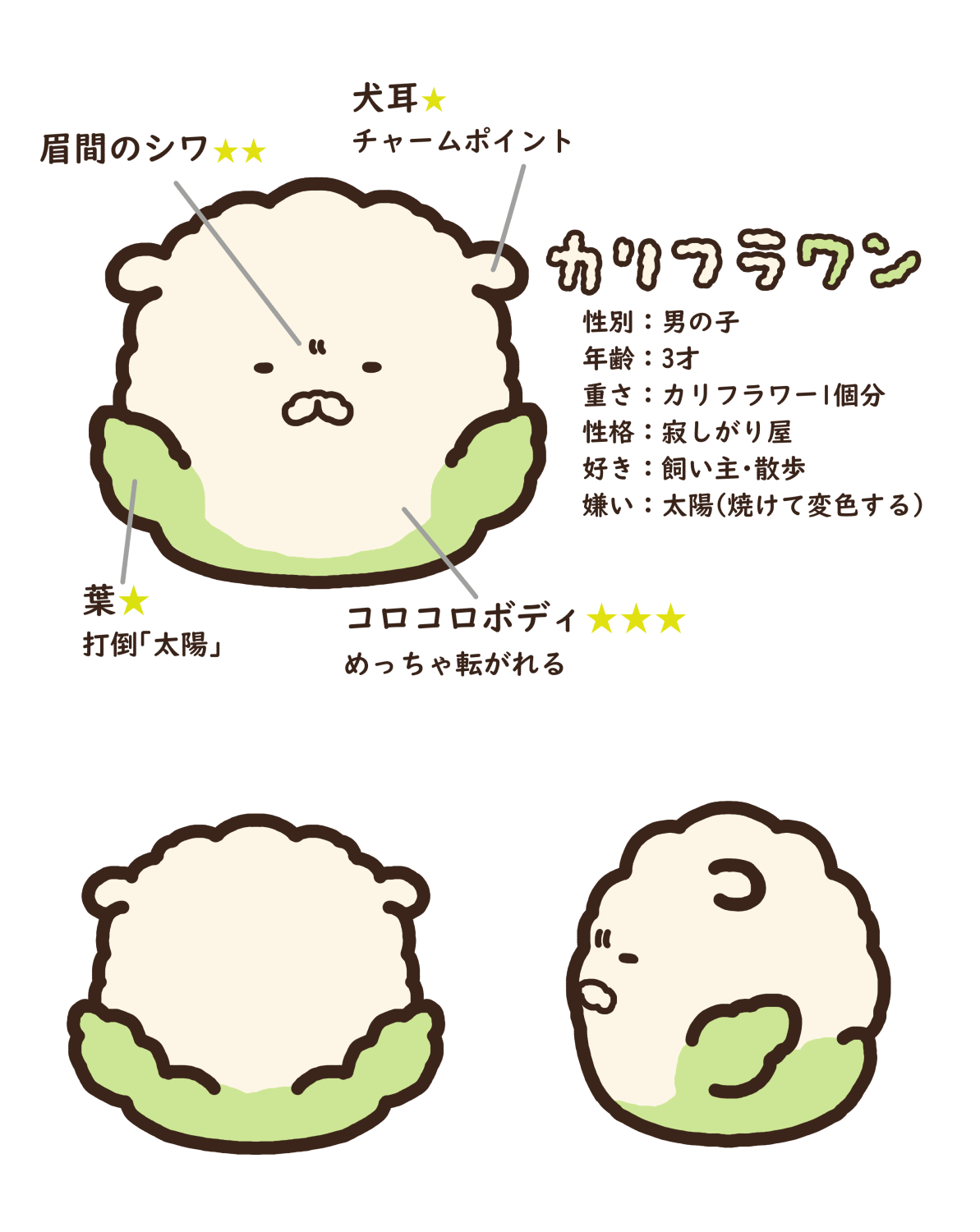 カリフラワン